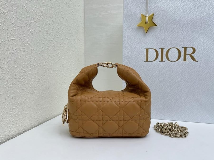 Dior Toujours Hobo mini