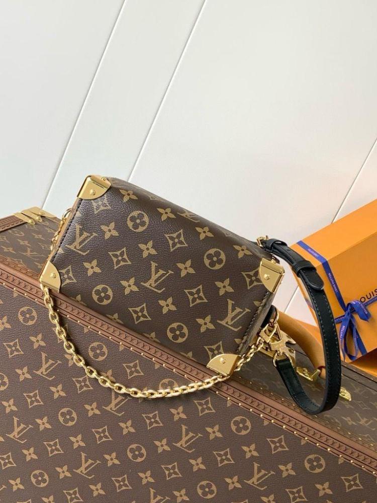 Louis Vuitton speedy TRUNK 20CM