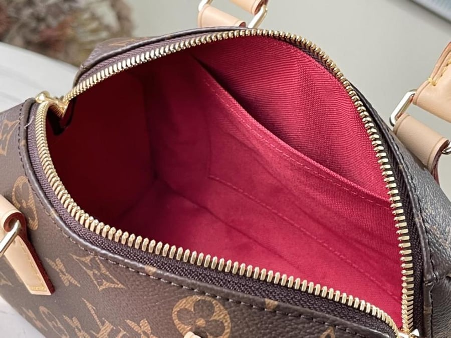 Louis Vuitton speedy 20CM