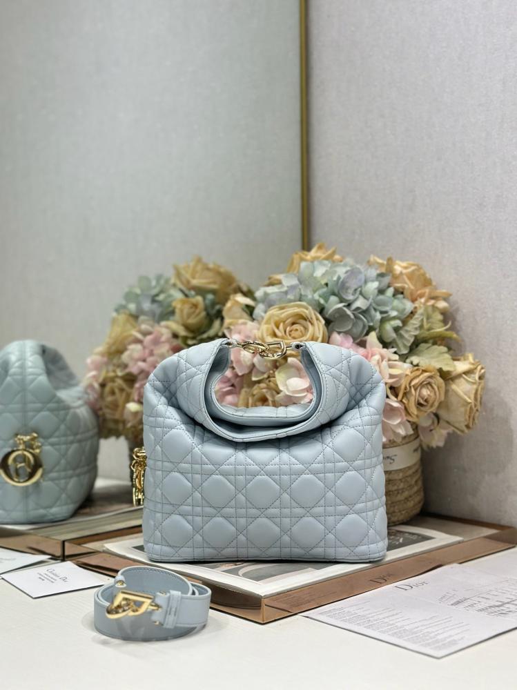 Dior Toujours Hobo 22,5CM