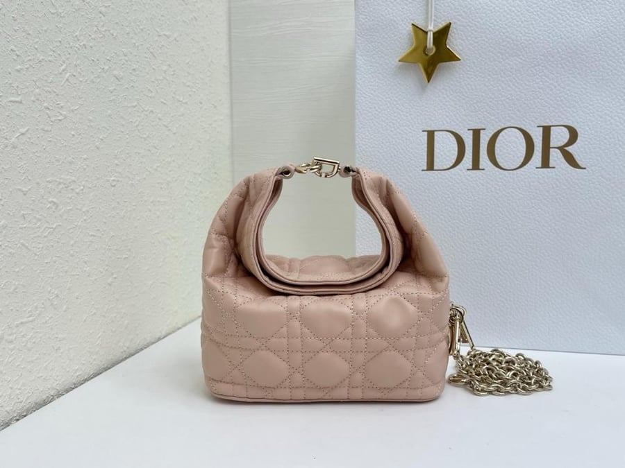 Dior Toujours Hobo mini