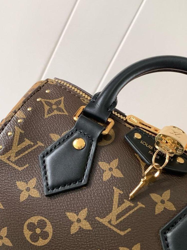 Louis Vuitton speedy TRUNK 20CM