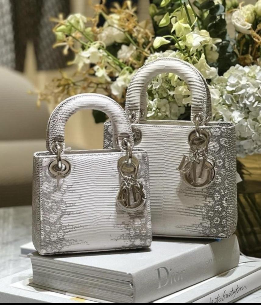 Lady Dior Small 20CM اصدار خاص