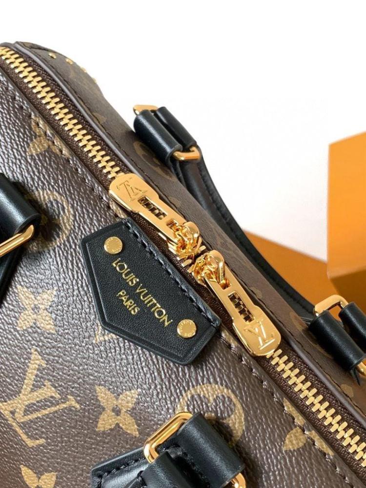 Louis Vuitton speedy TRUNK 20CM