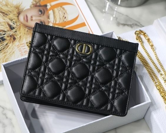 Dior Caro Pouch 19CM