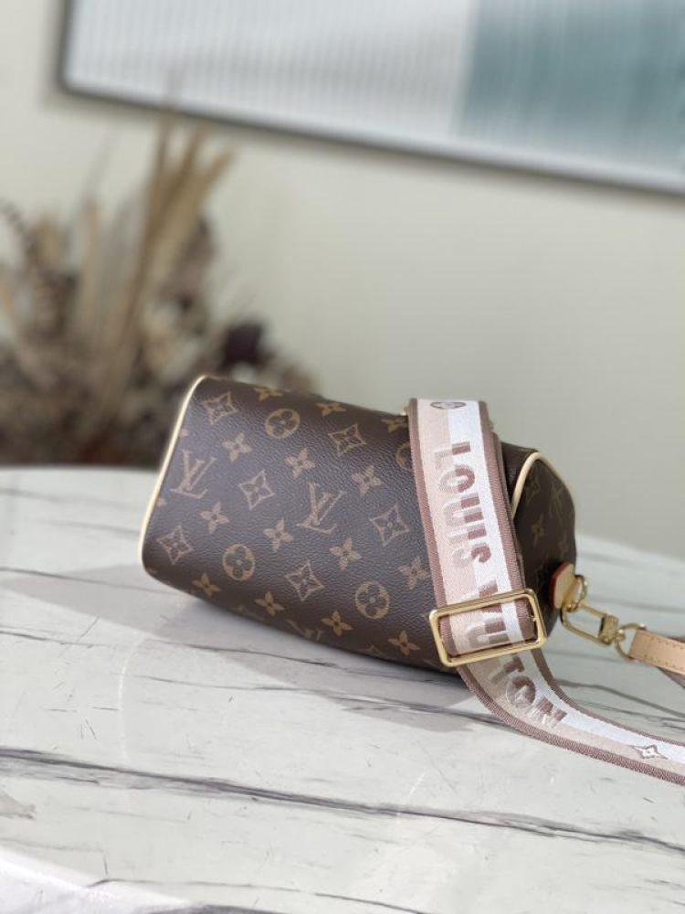 Louis Vuitton speedy 20CM