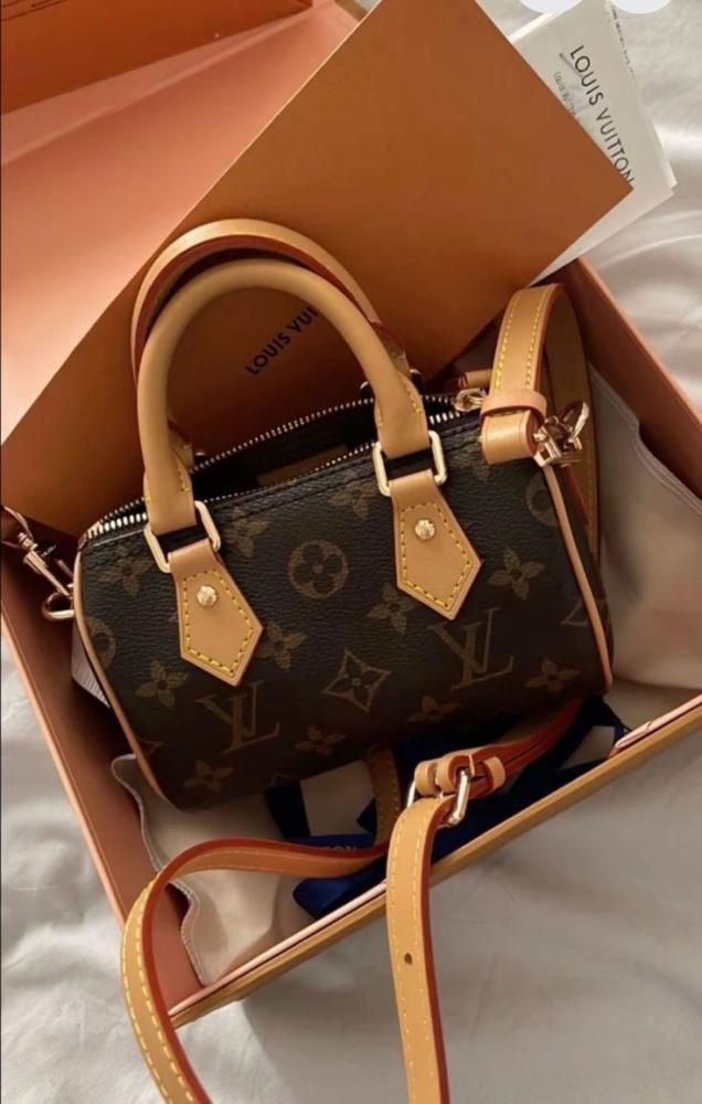 Louis Vuitton NANO speedy 16CM