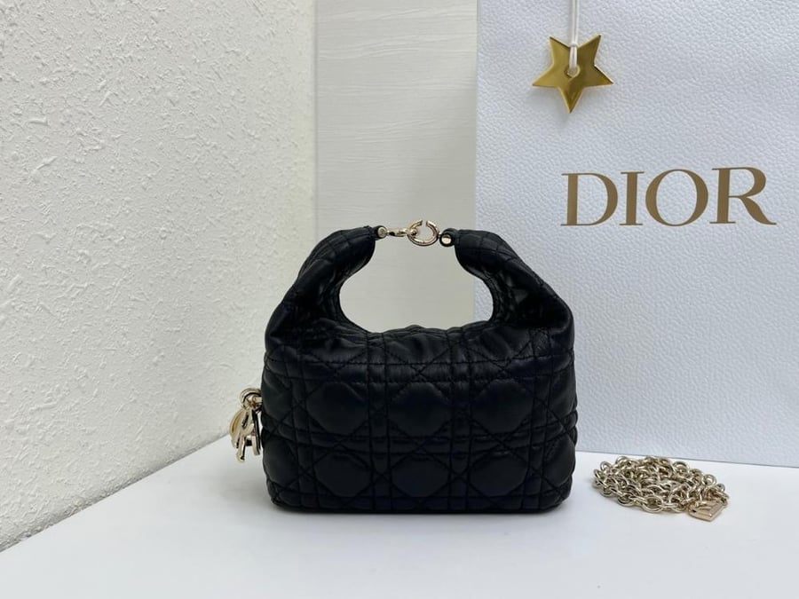 Dior Toujours Hobo mini