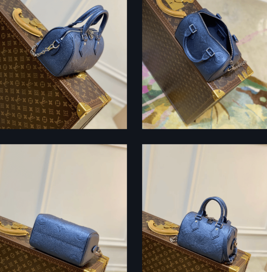 Louis Vuitton speedy 20CM