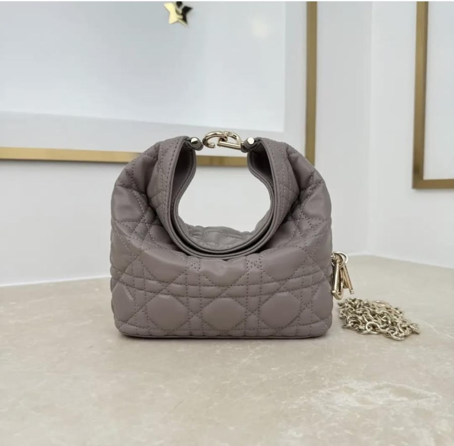 Dior Toujours Hobo mini