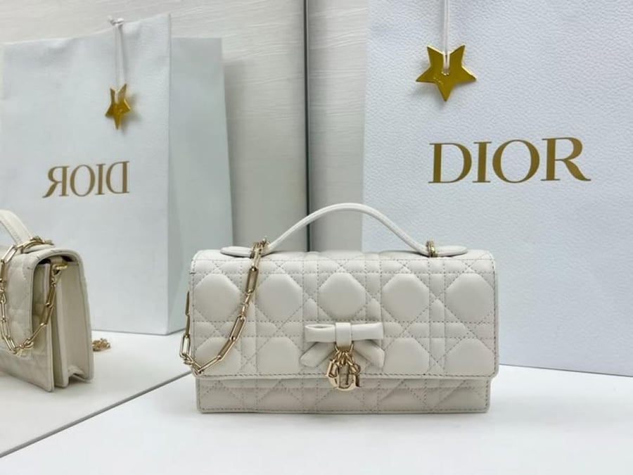DIOR 21CM