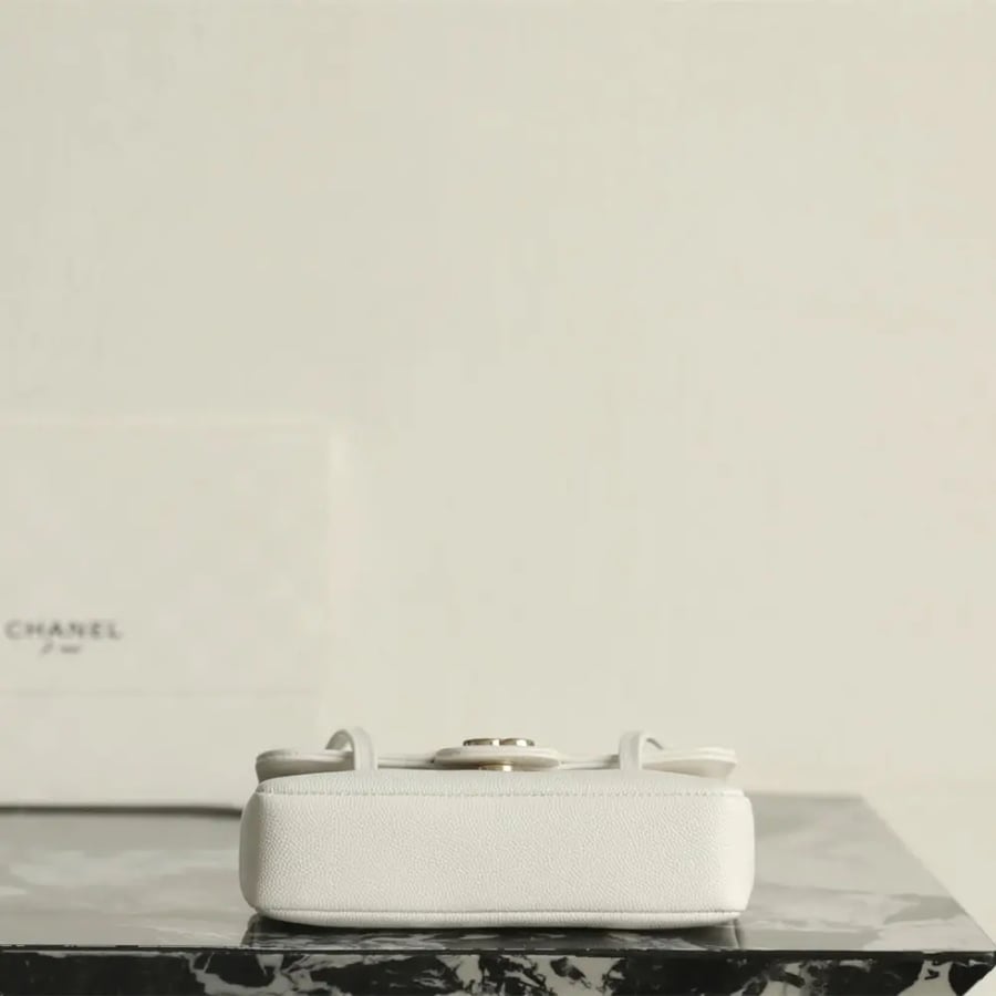Chanel 17CM