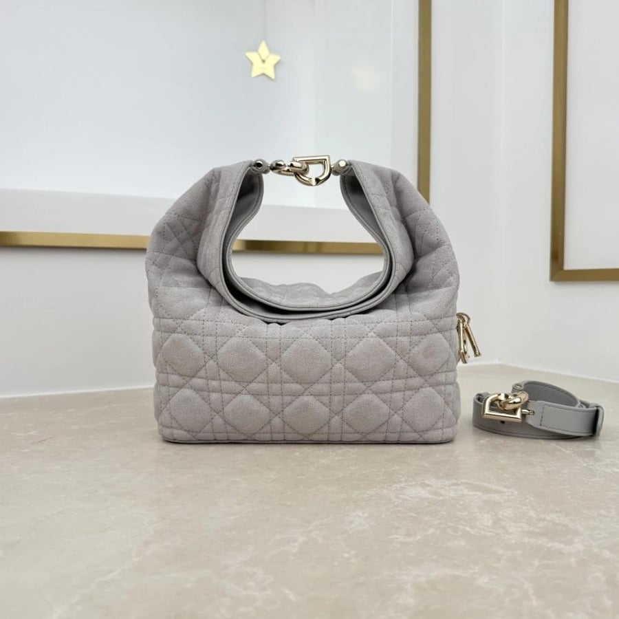 Dior Toujours Hobo 22,5CM