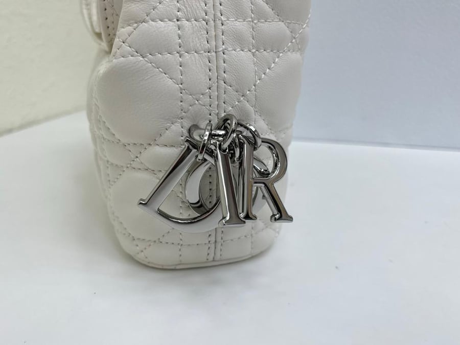 Dior Toujours Hobo mini