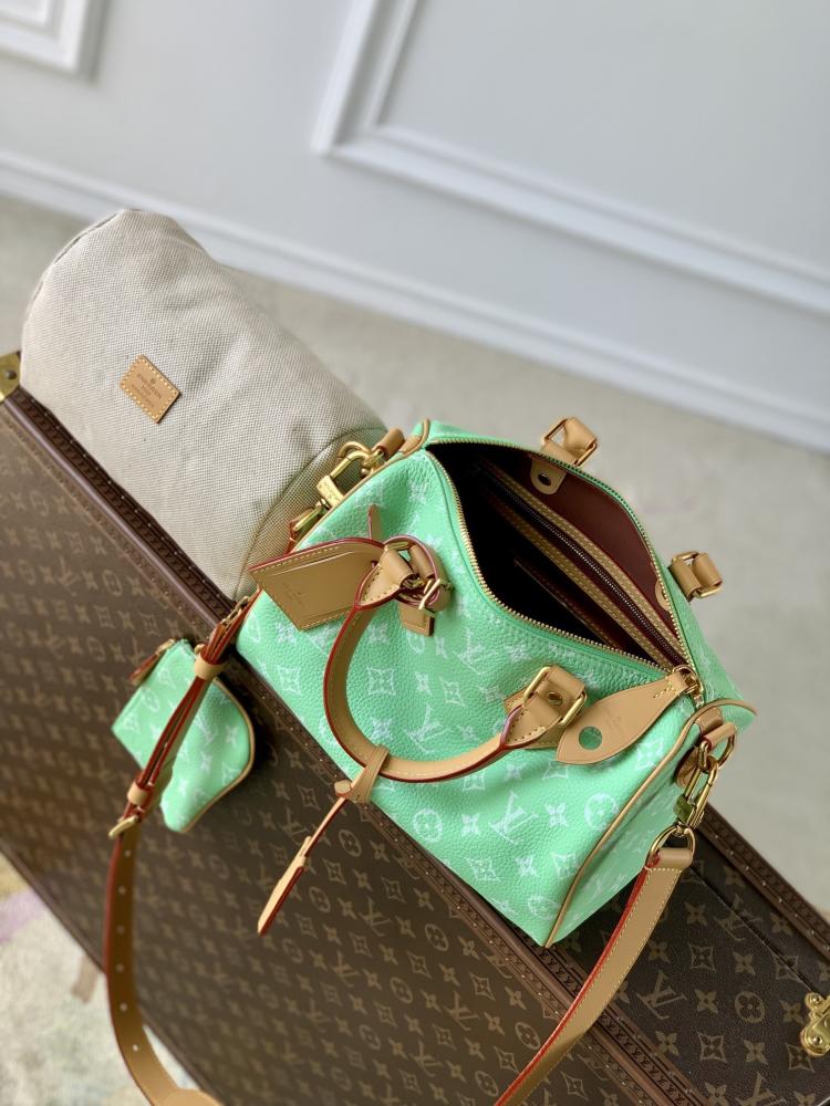 Louis Vuitton speedy 25CM