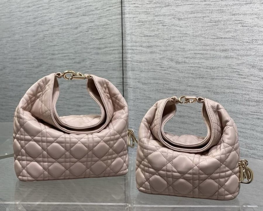 Dior Toujours Hobo 22,5CM