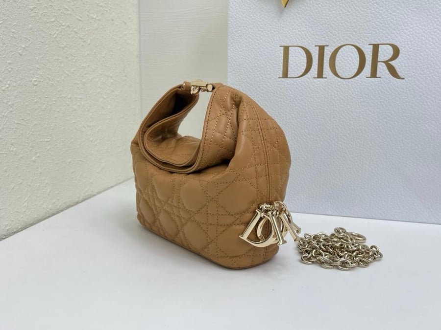 Dior Toujours Hobo mini