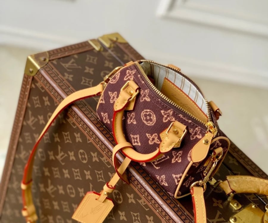 Louis Vuitton speedy nano 16CM