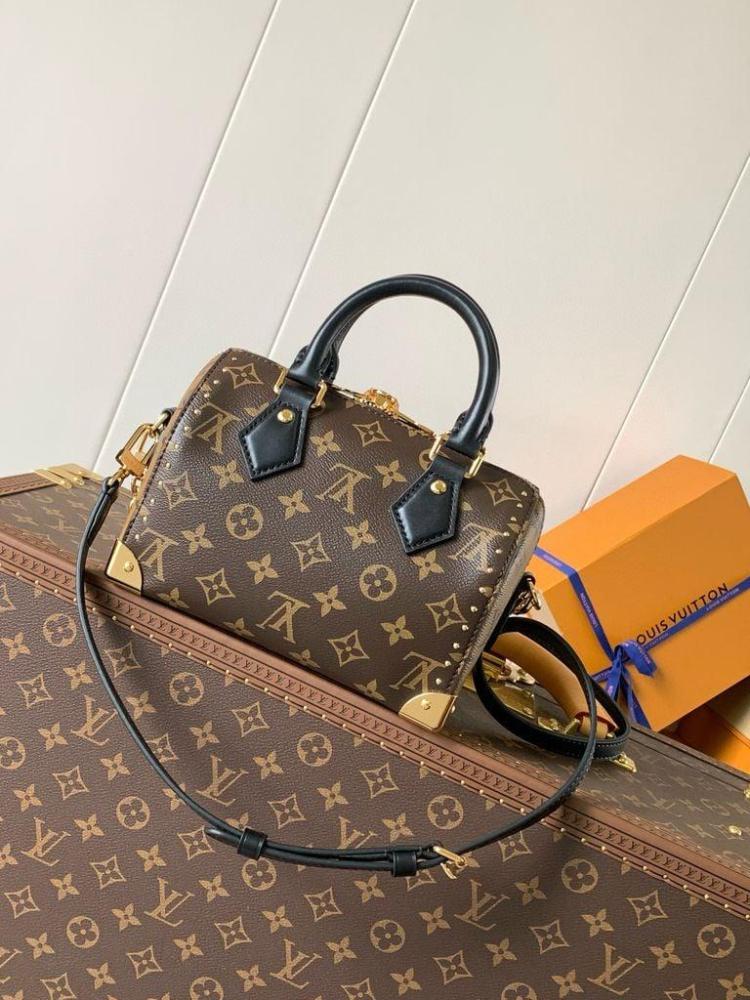 Louis Vuitton speedy TRUNK 20CM