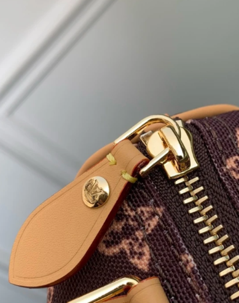 Louis Vuitton speedy nano 16CM