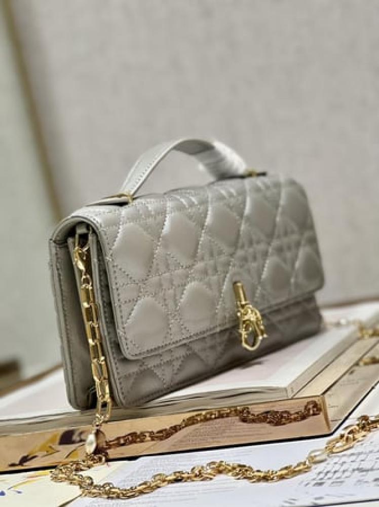 DIOR 21CM