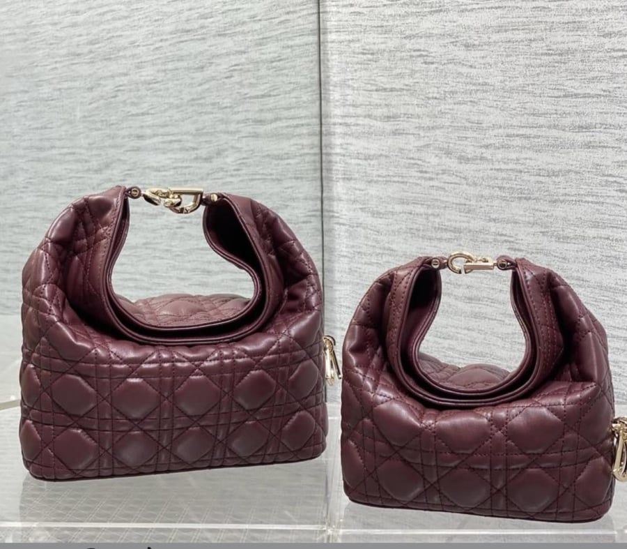 Dior Toujours Hobo 22,5CM