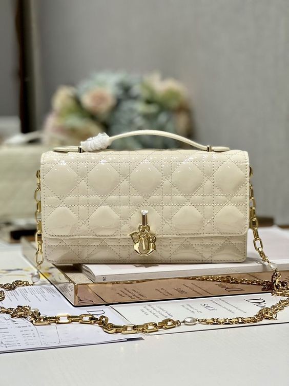 DIOR 21CM