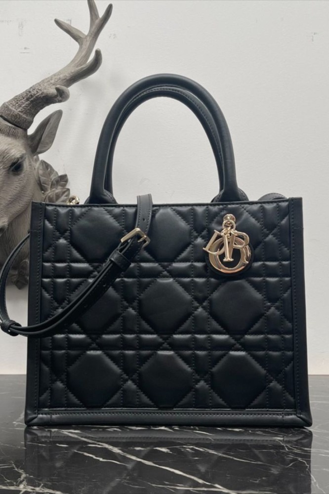 Small Dior Book Tote 21CM