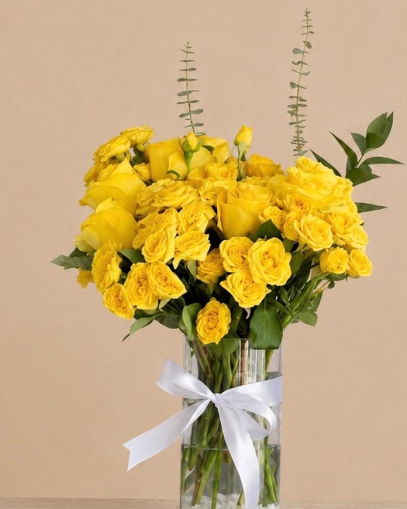 فازة عافيــة