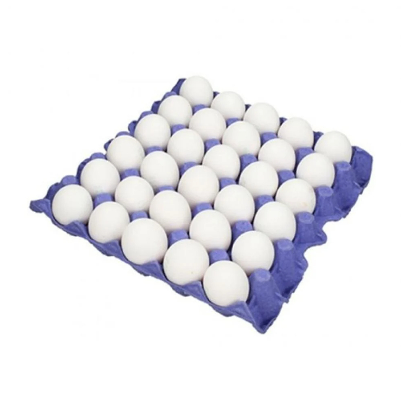 بيض طازج 450 جم