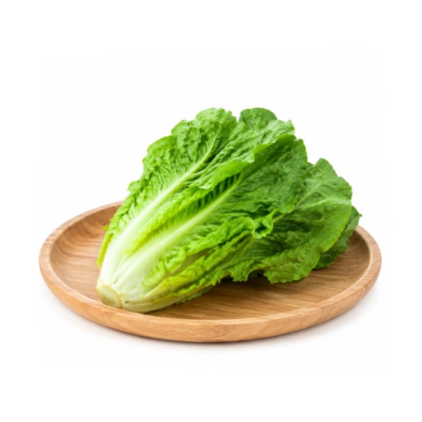 Lettuce Long Romaine 1kg