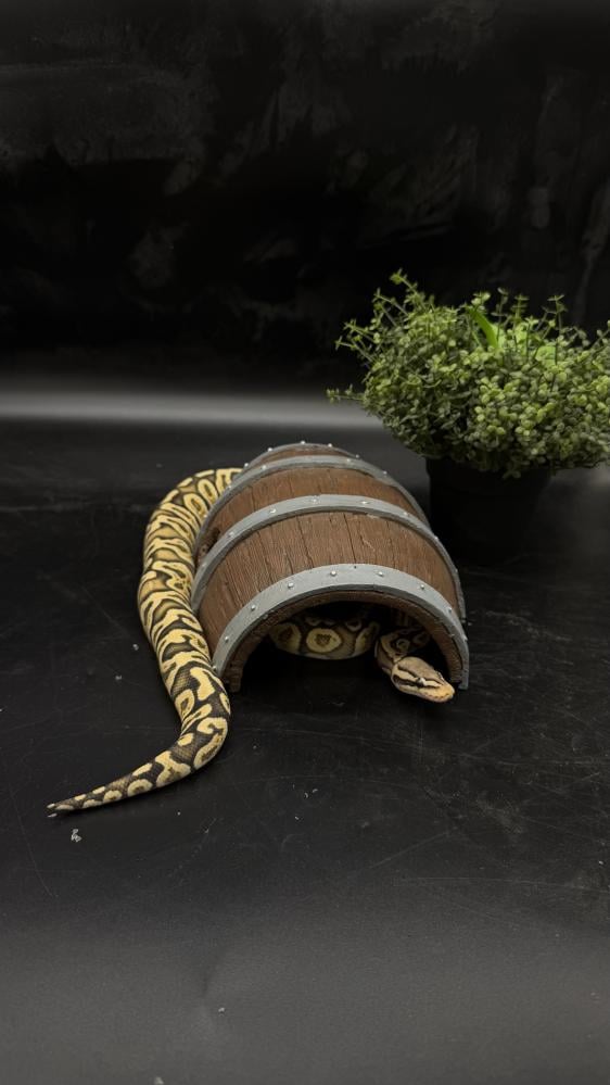 بول بايثون -Pastel Hypo GHI het Clown