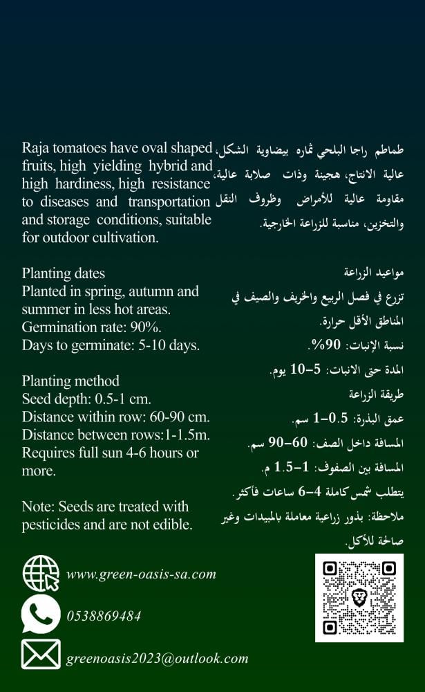 Rajaa F1 tomatoes