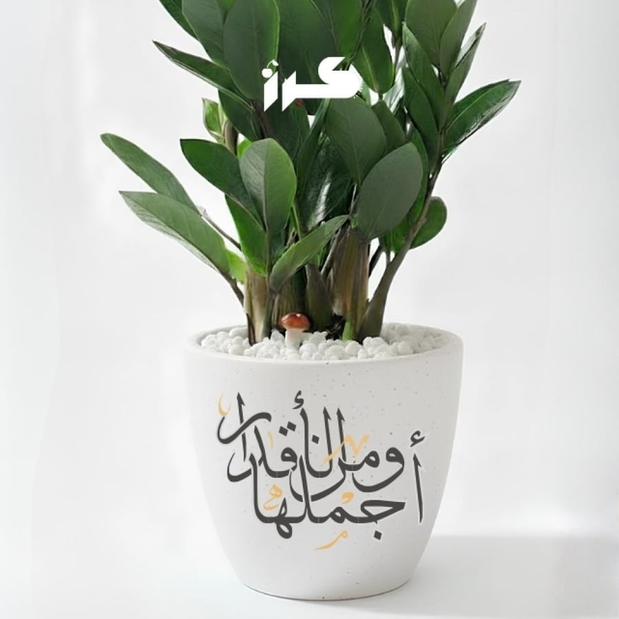 مركن فخاري أبيض-مناسبات خاصة -زاميا