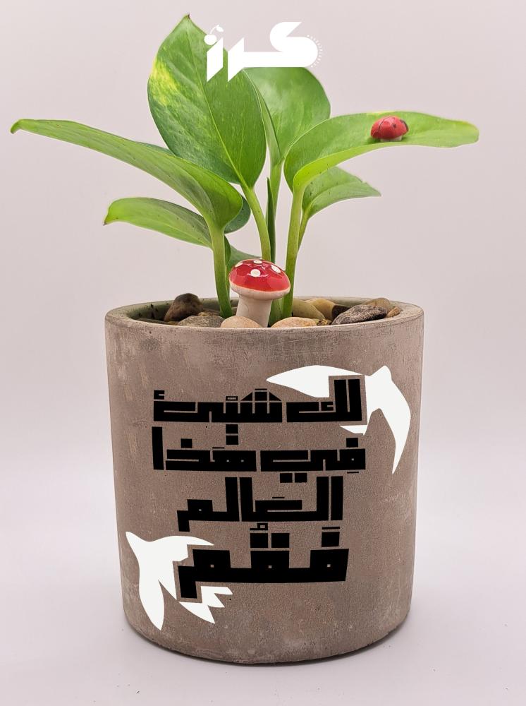 Concrete pot - If you have something in this world, get up