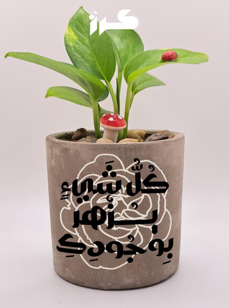 أصيص خرساني - يزهر كل شيء بوجودك