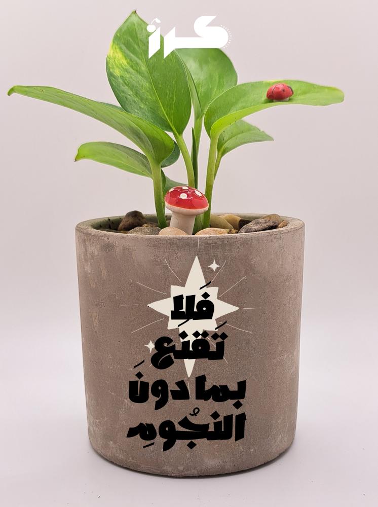 أصيص خرساني - فلا تقنع بما دون النجوم