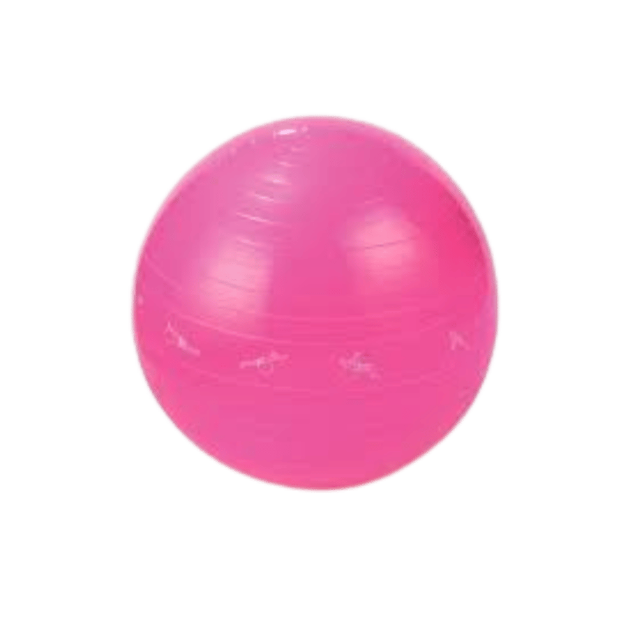 MD Buddy MD1225 Gym Ball كرة يوجا 65 سم وردي
