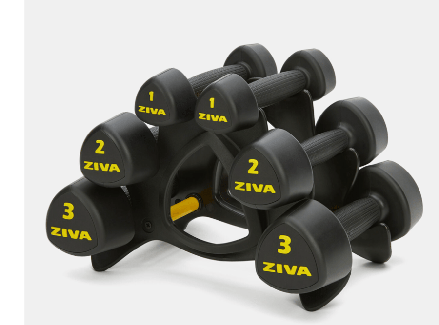 ZIVA Studio Dumbbells دمبلز زيفا ستوديو احترافية