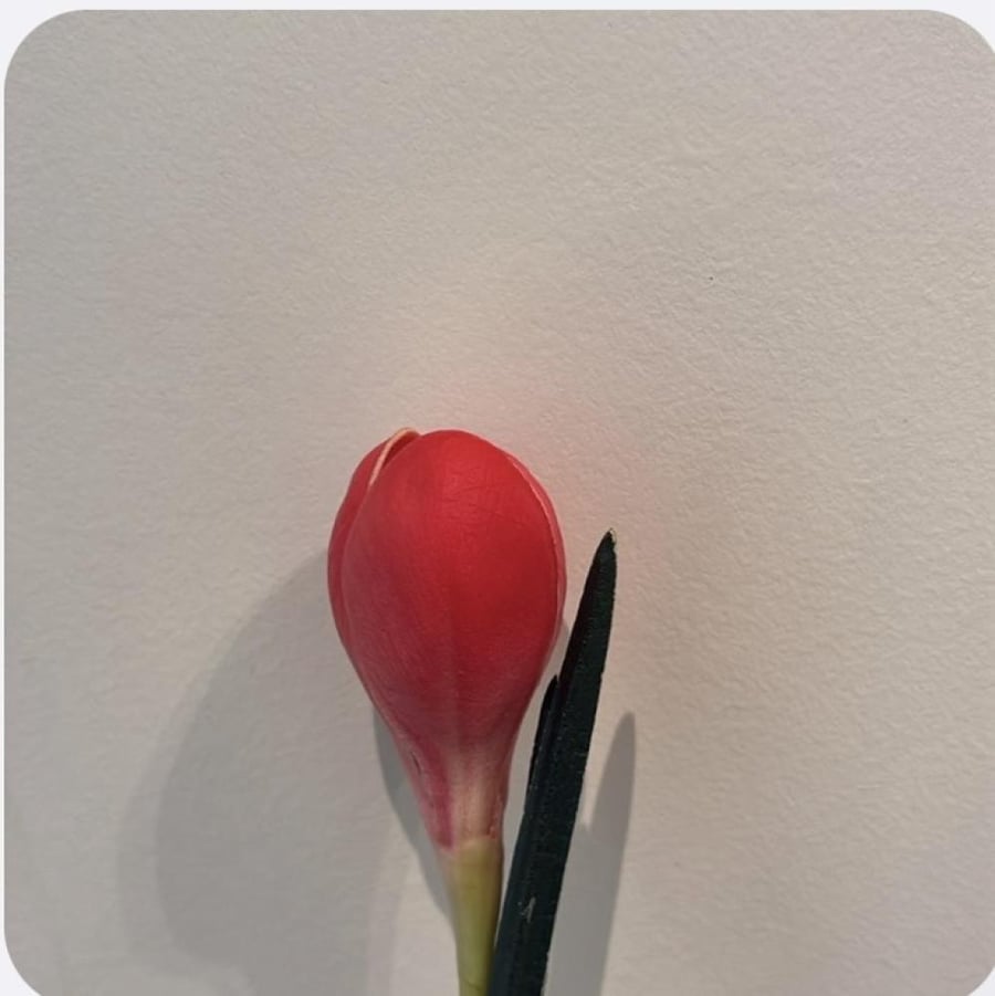 Artificial Fushia S