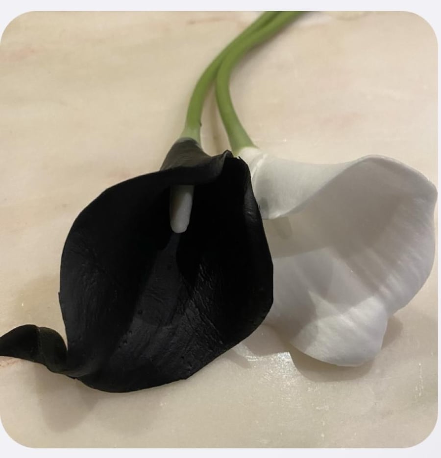Artificial black/White