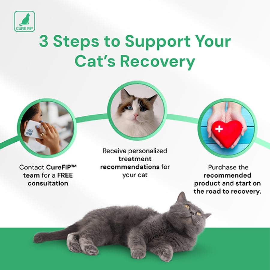 كبسولات CURE FIP™ الفموية