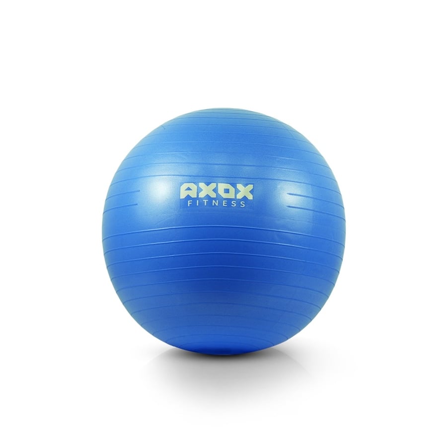 Anti Burst Gym Ball -65