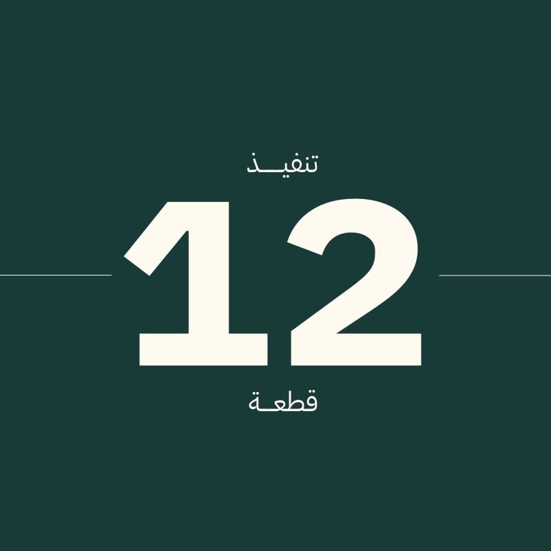 تنفيذ 12 قطعة تيشيرت اوفر سايز
