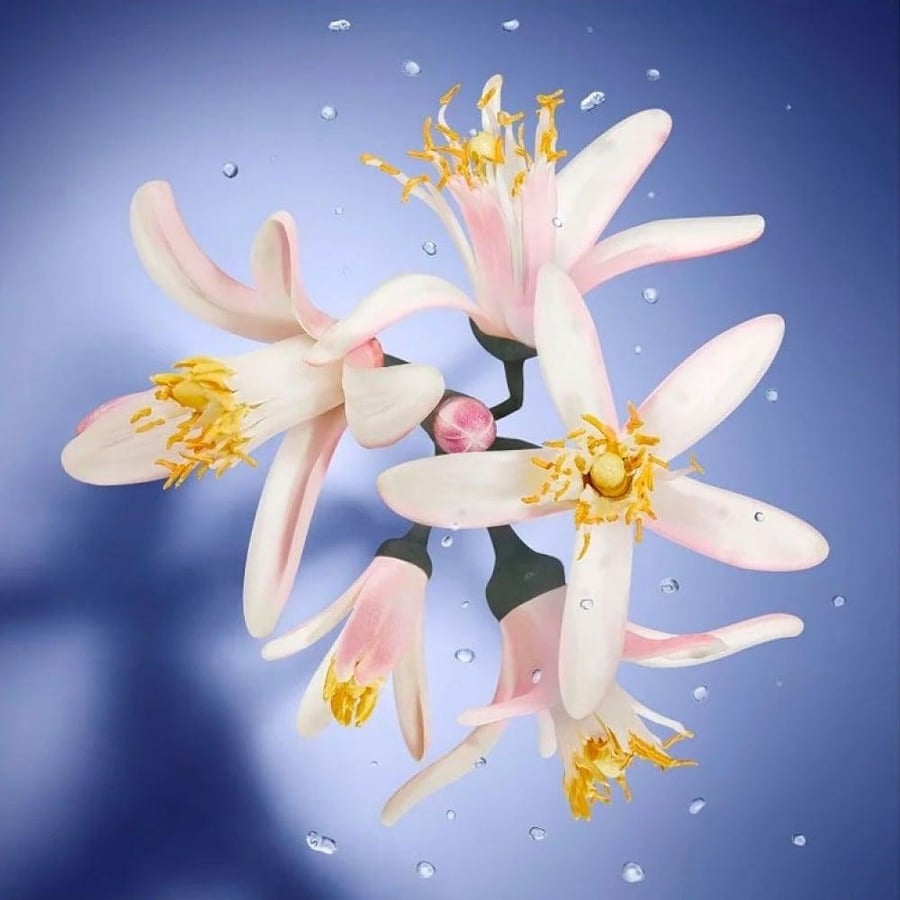 Lancôme La Vie Est Belle Le Lila Leau Eau de Toilette 100ml