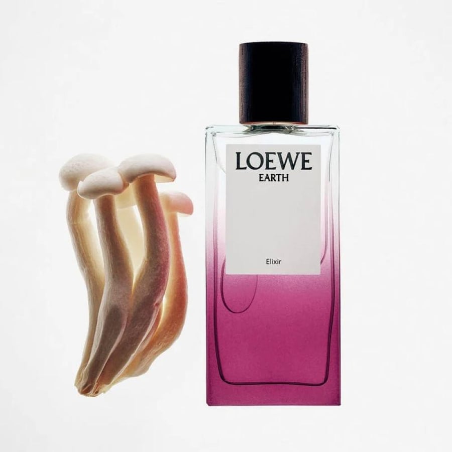 عطر لوي ايرث الكيسر او دو بارفيوم 100مل