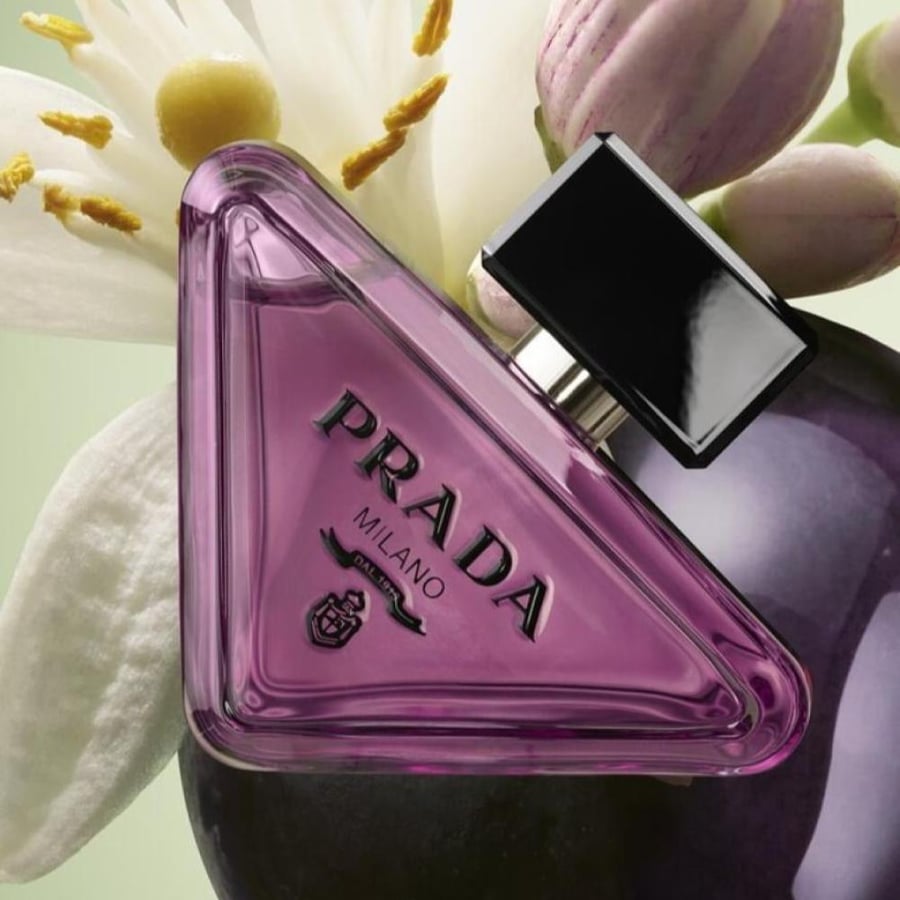 عطر برادا بارادوكس الجديد 2026
