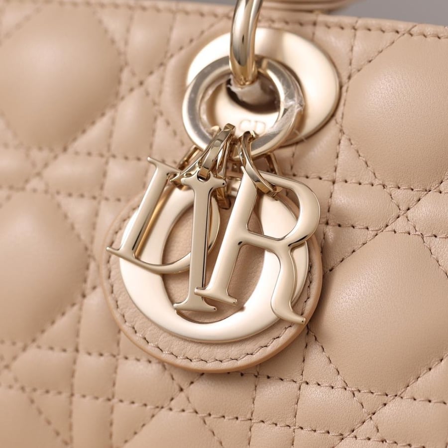 (Pink) Dior Lady D-Joy
