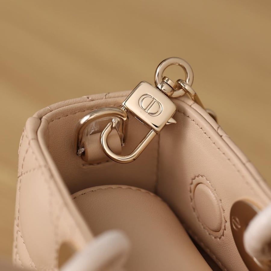 (Pink) Dior Lady D-Joy
