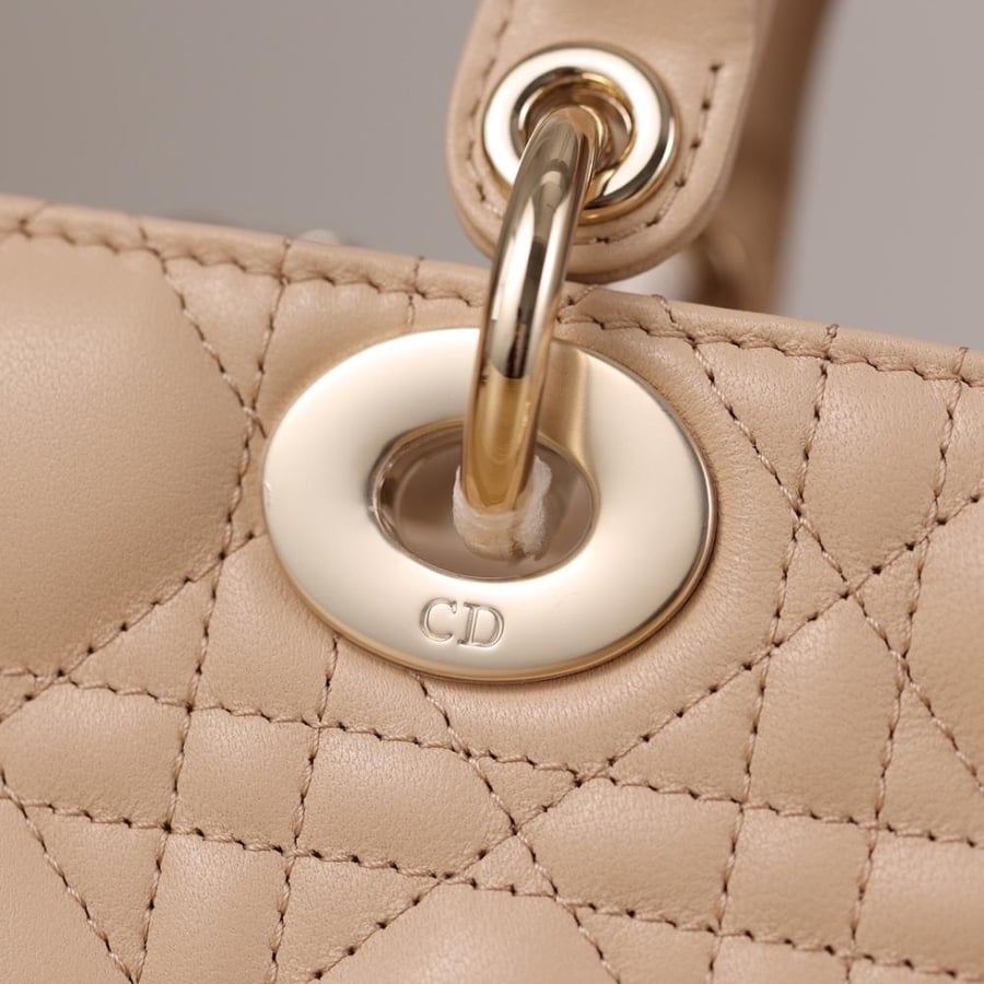(Pink) Dior Lady D-Joy